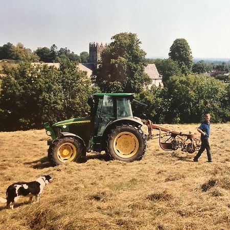 Carey'S Bar & Farmhouse Kilkenny Border Oldleighlin Экстерьер фото