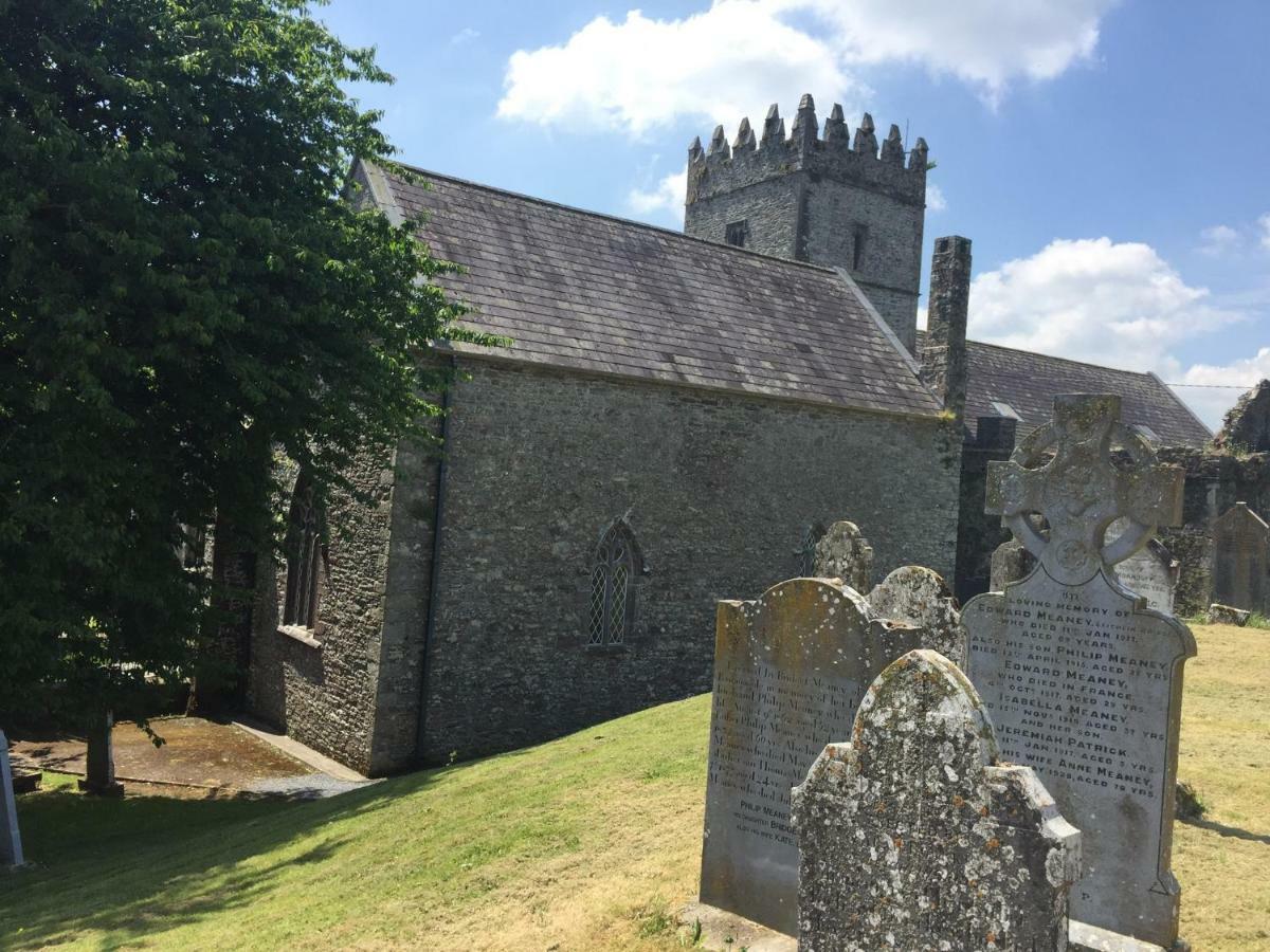 Carey'S Bar & Farmhouse Kilkenny Border Oldleighlin Экстерьер фото