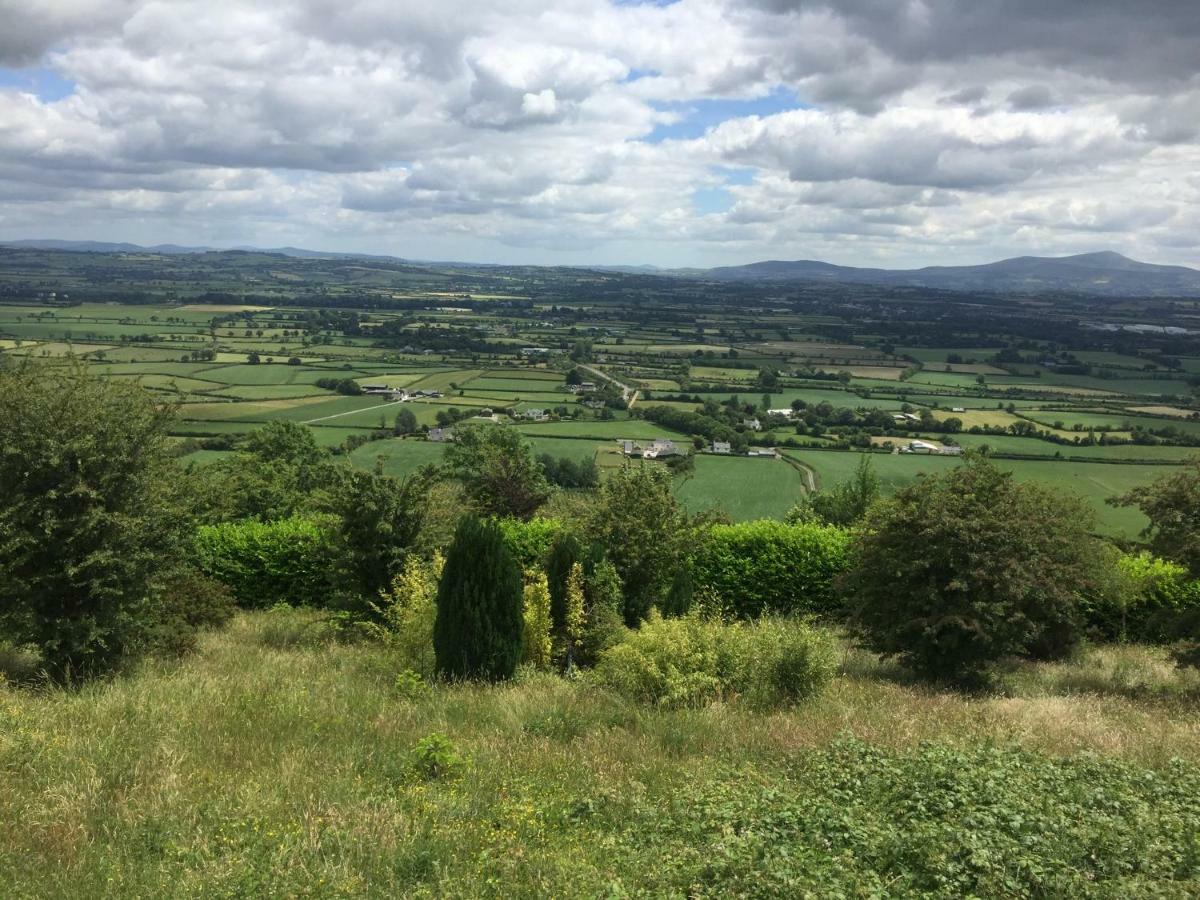 Carey'S Bar & Farmhouse Kilkenny Border Oldleighlin Экстерьер фото