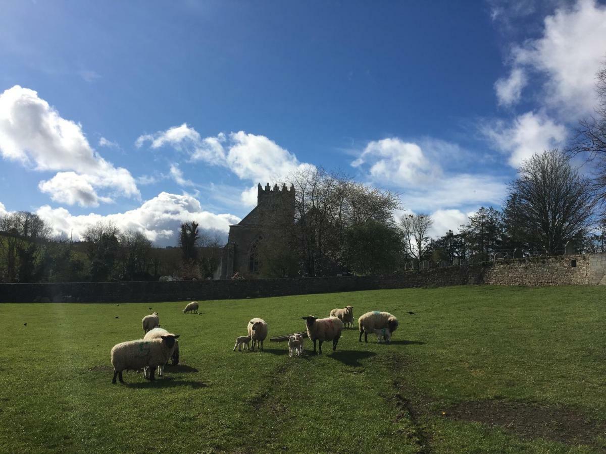 Carey'S Bar & Farmhouse Kilkenny Border Oldleighlin Экстерьер фото
