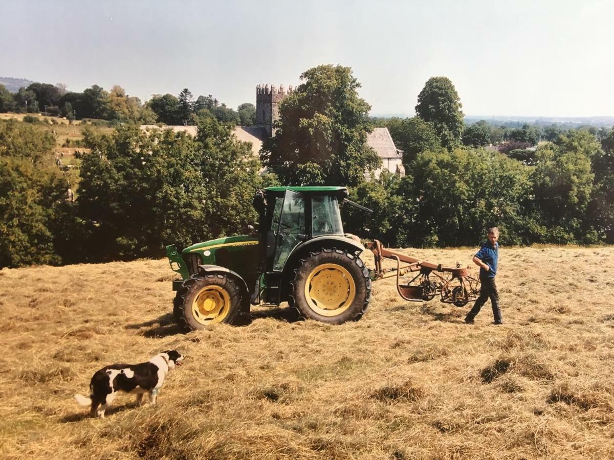 Carey'S Bar & Farmhouse Kilkenny Border Oldleighlin Экстерьер фото